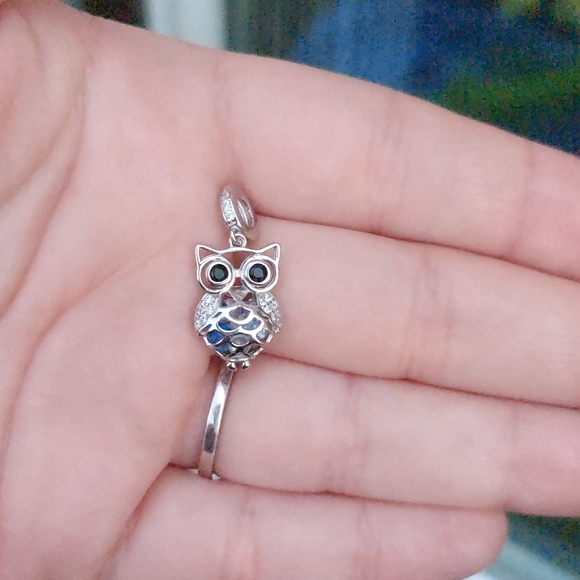 Silver Owl Charm - Picture 4 of 6